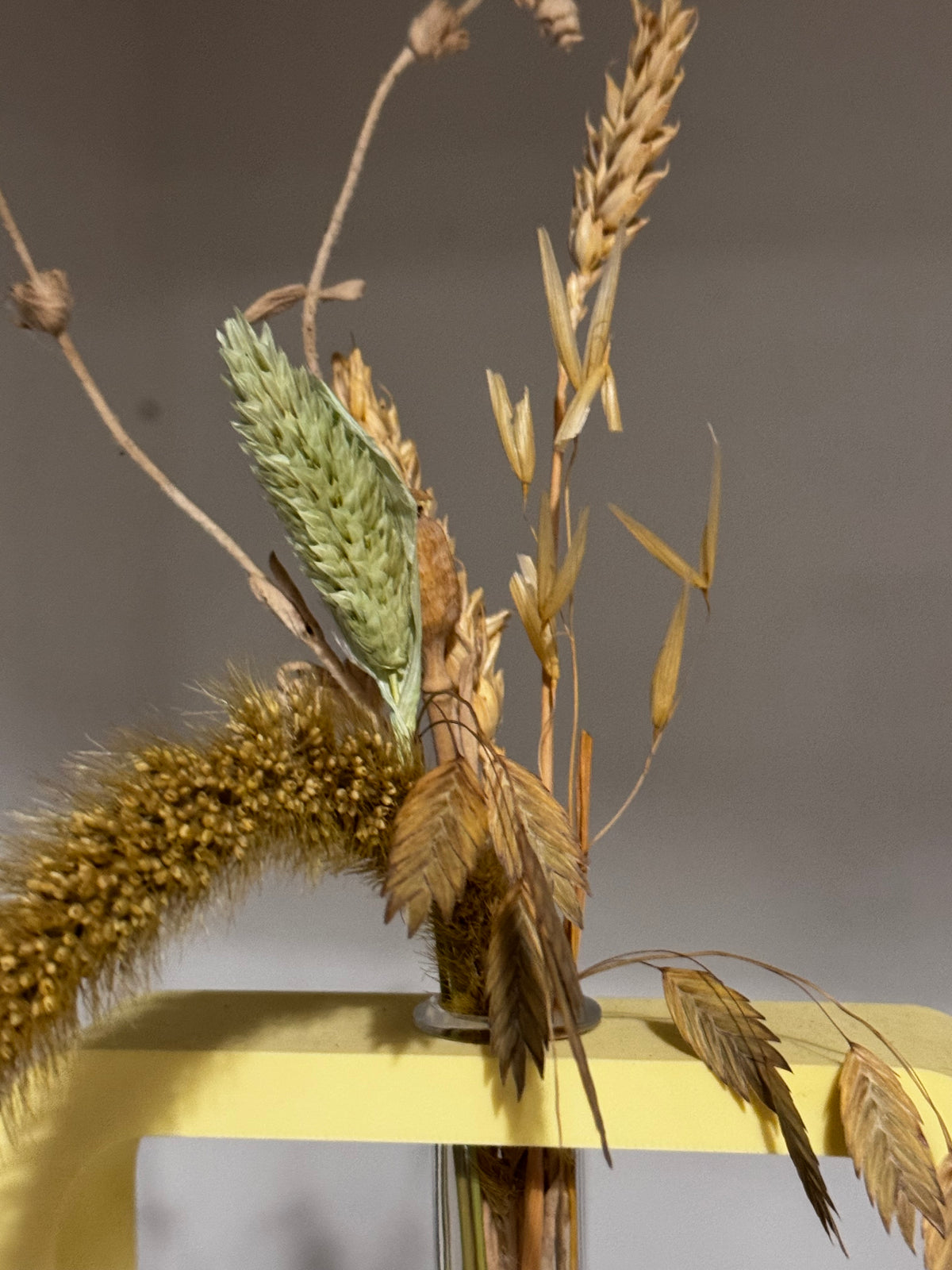 inCORNICIAMI