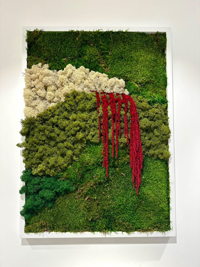 50x70