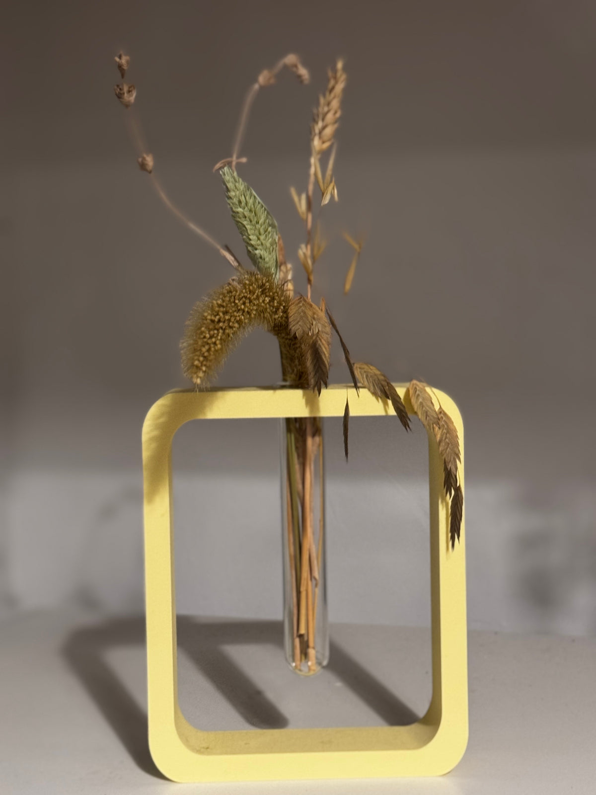 inCORNICIAMI