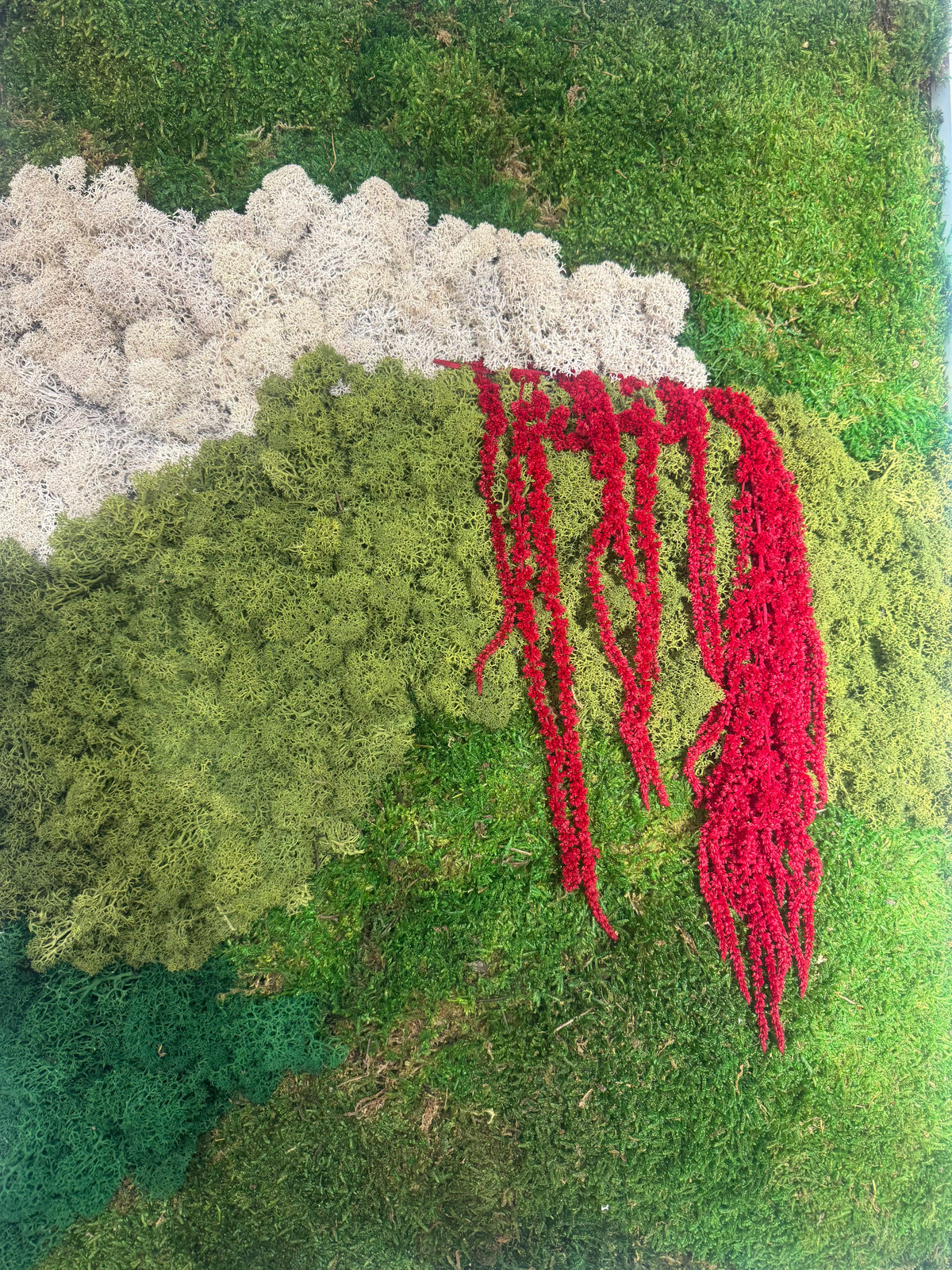 50x70