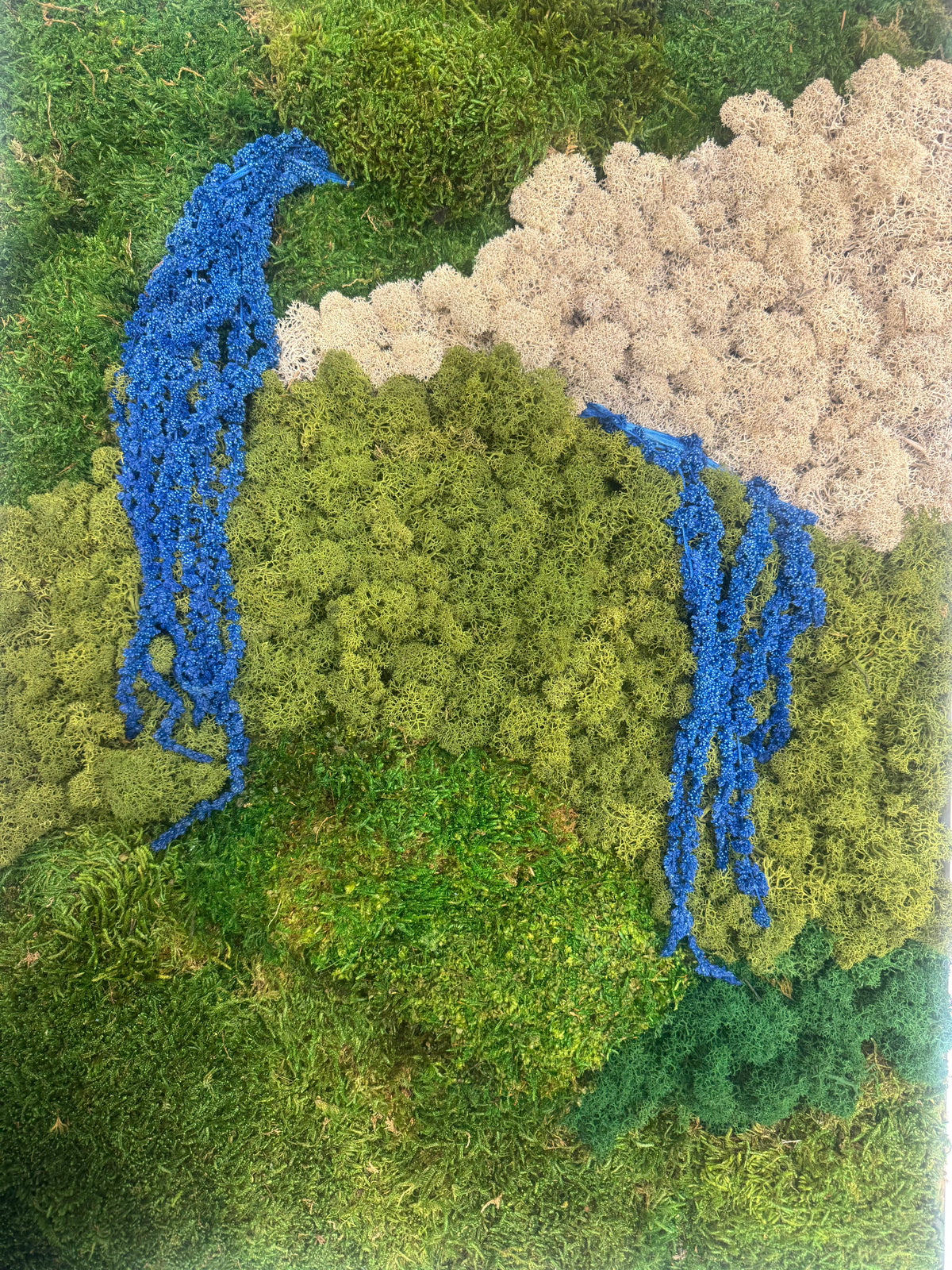 50x70