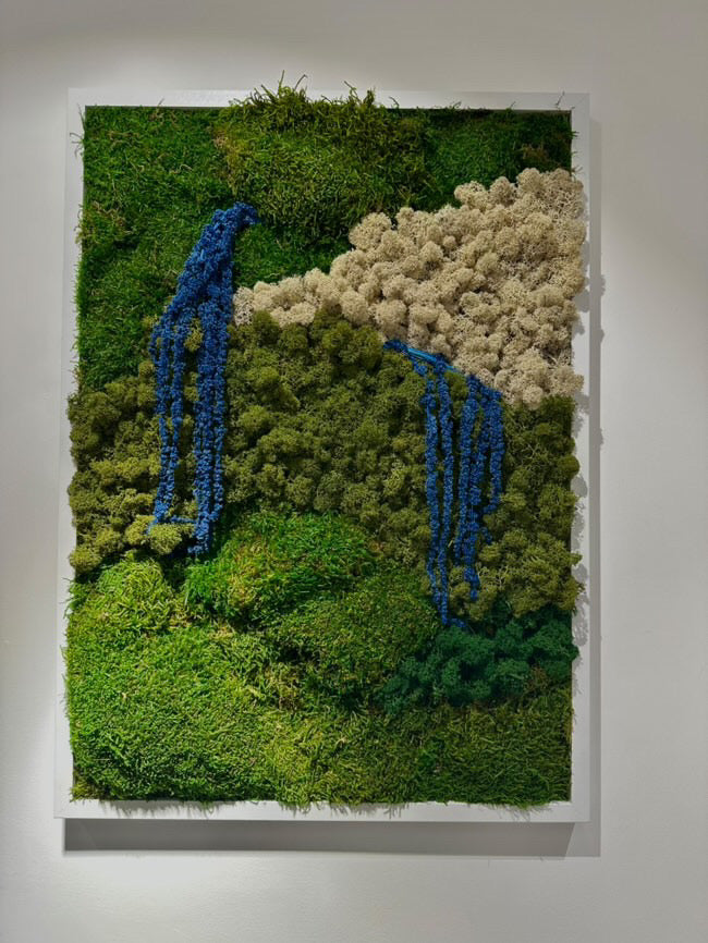 50x70