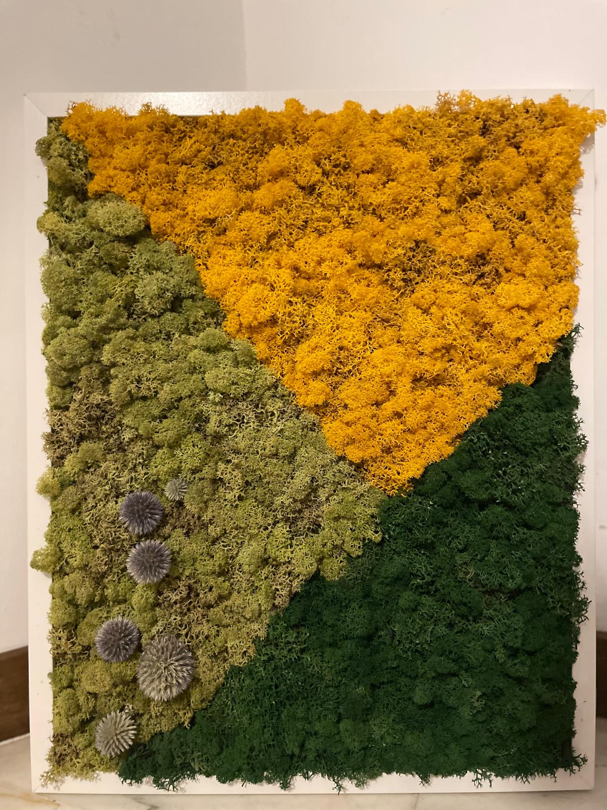 50x70