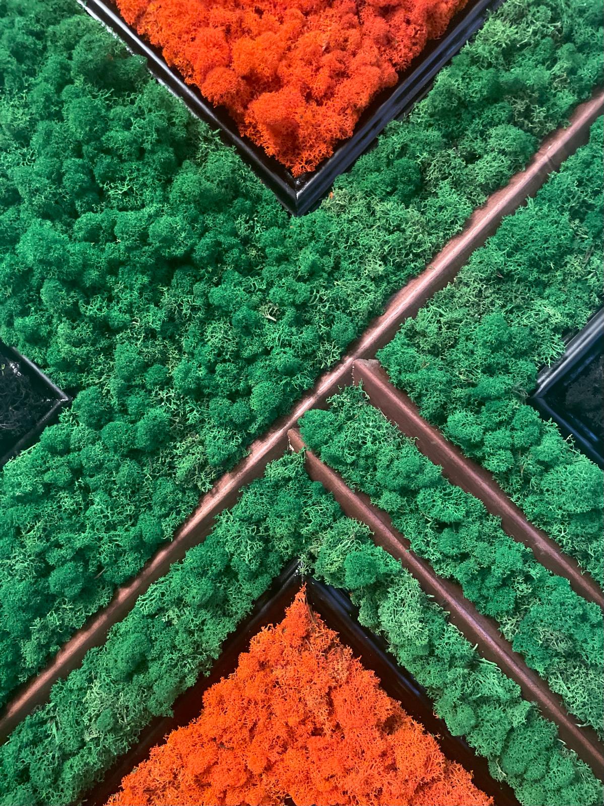 70x100