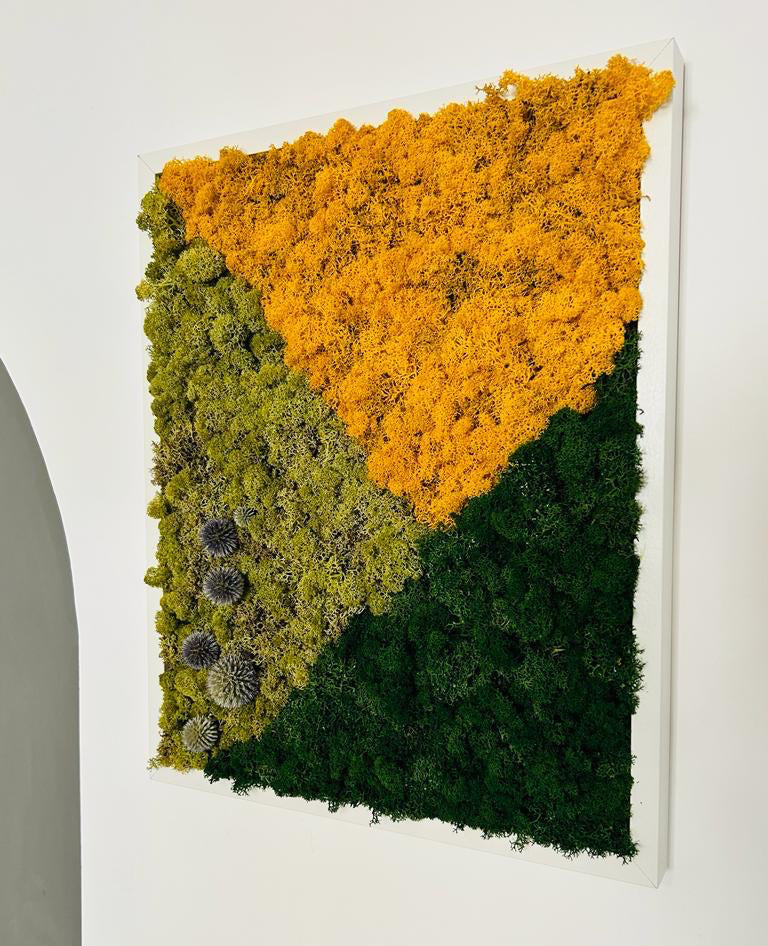50x70