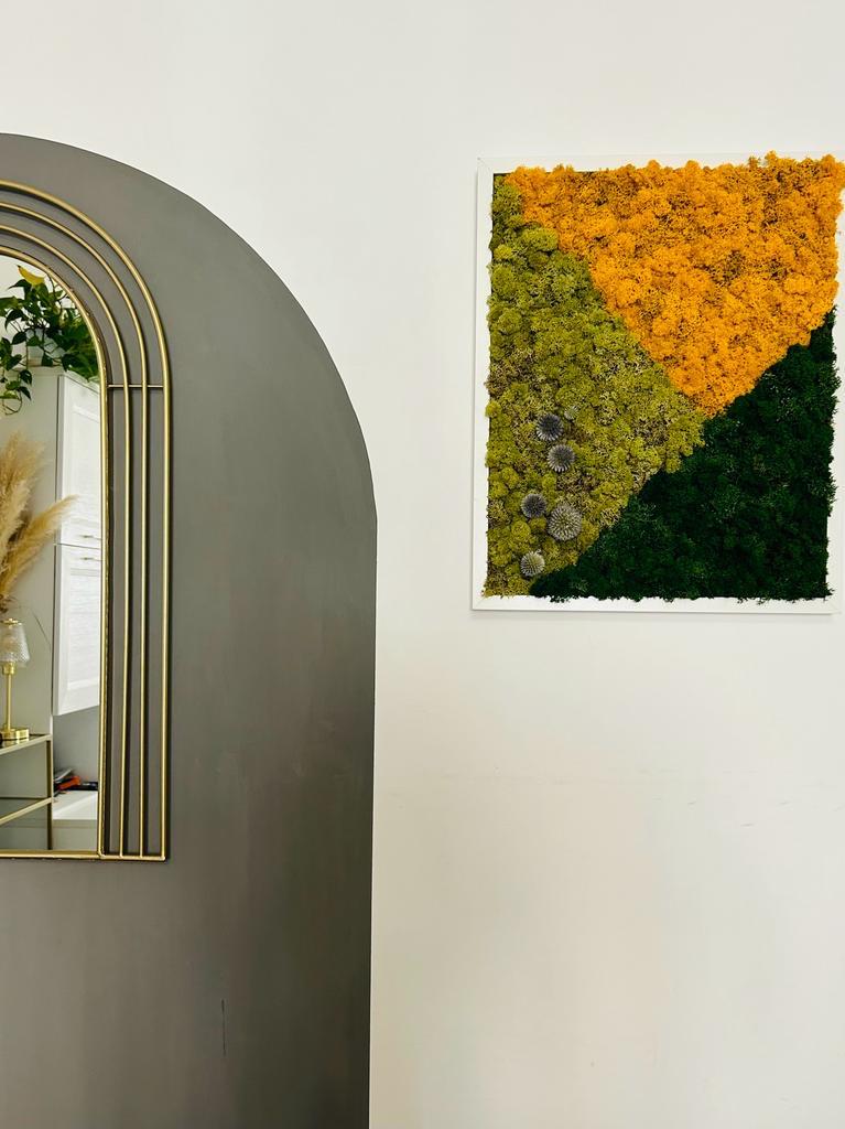 50x70